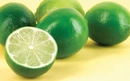 Lime Limon Yetiştiriliciği Lime Limon Yetiştiriliciği